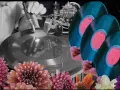 Miley Cyrus: Wer singt "Flowers"? Hintergrund, Erfolg & Bedeutung