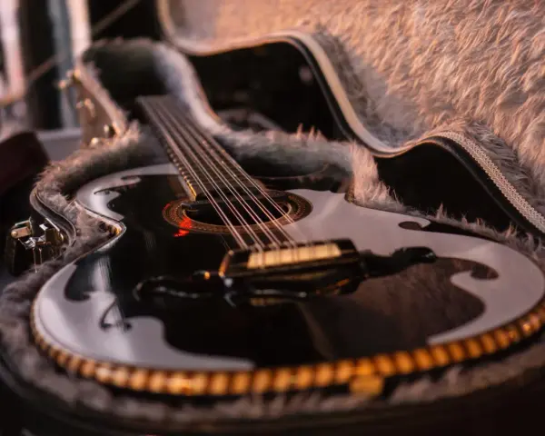 Schwarze Gitarre mit Fell ausgekleidetem Koffer.